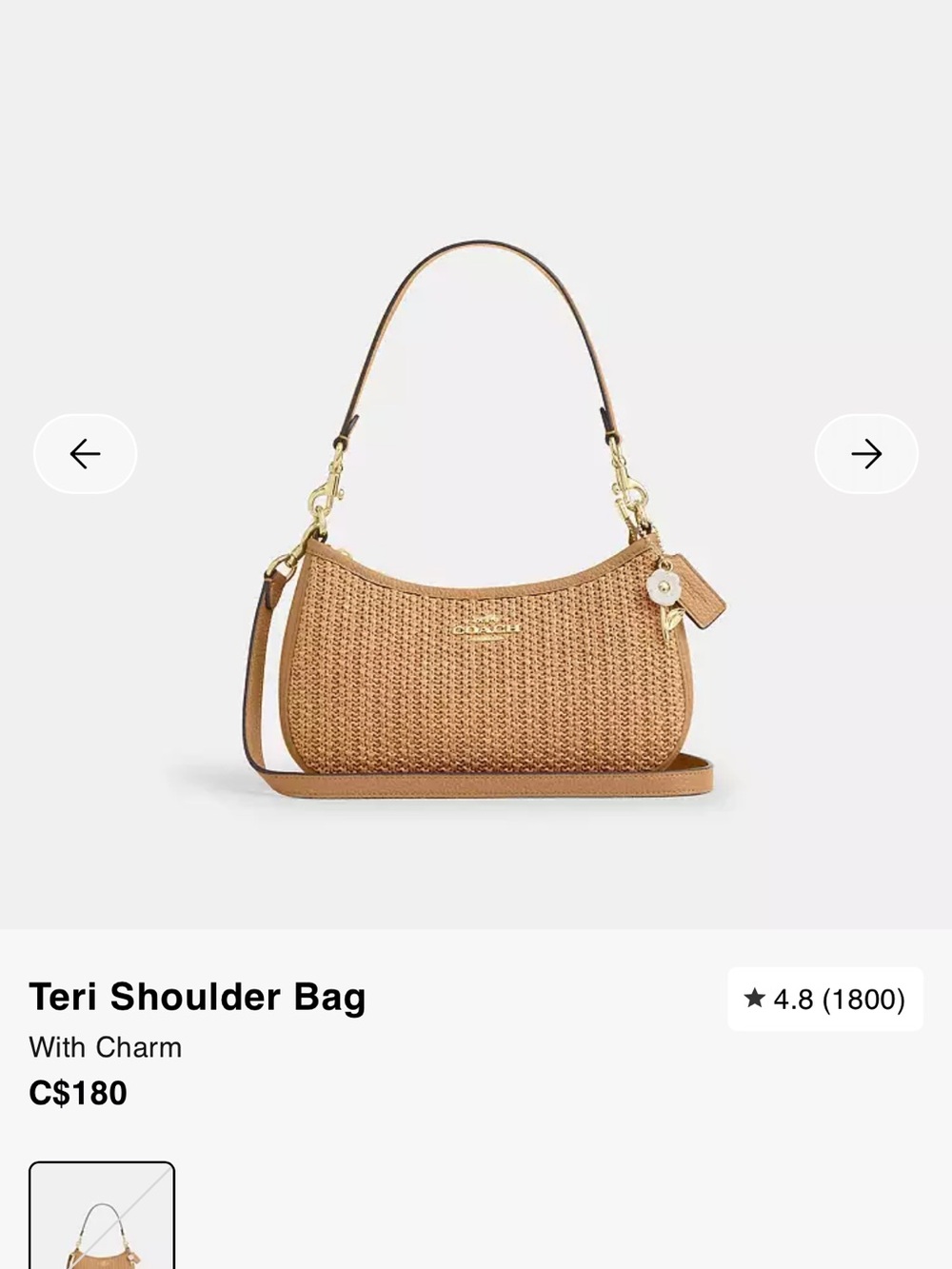 Coach Straw Teri Shoulder Bag in Tan
